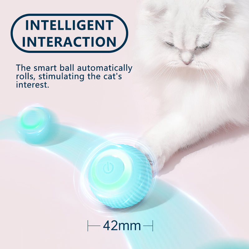 Smart Ball Cat Toy