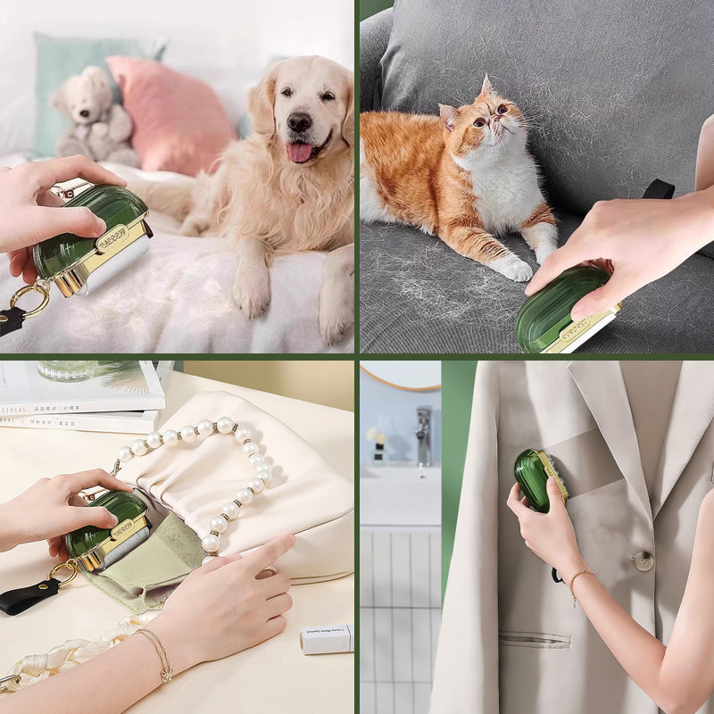 Mini 2 in 1 Pet Hair Remover