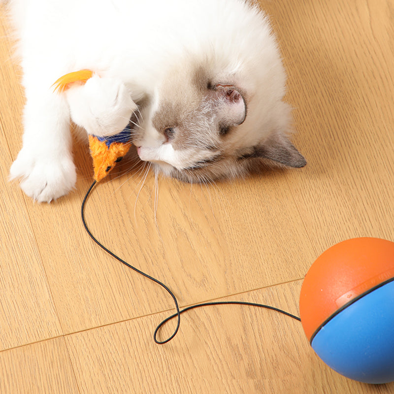 Automatic Cat Teaser Ball