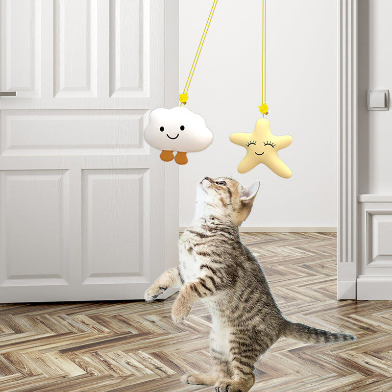 6 Pack Dangling Cat Toy