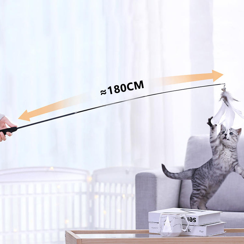 Telescopic Cat Teaser