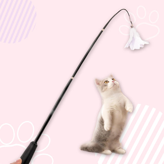 Telescopic Cat Teaser