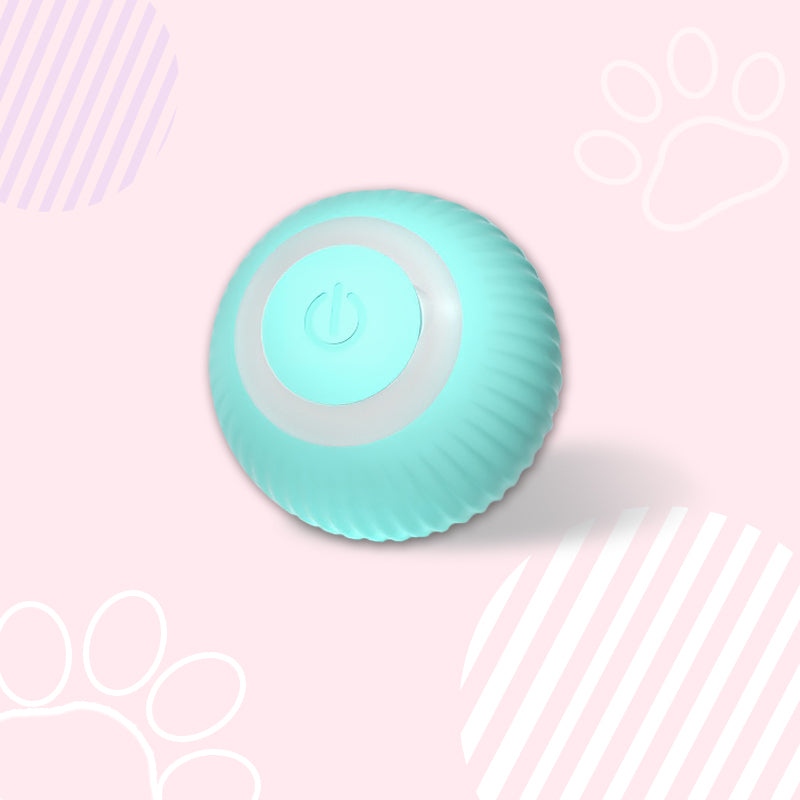 Smart Ball Cat Toy